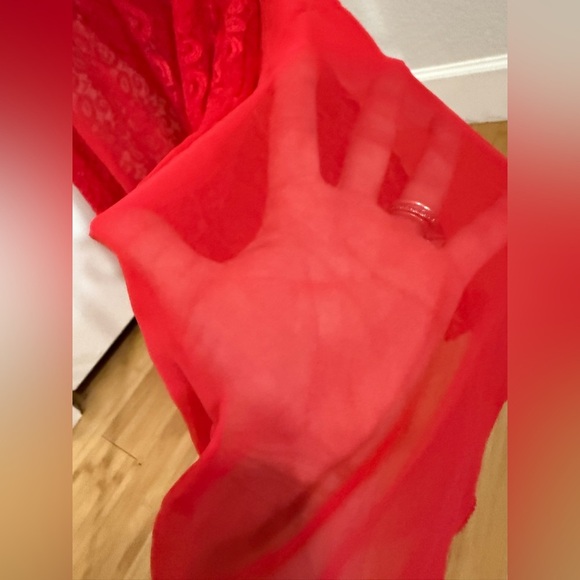 Vintage Shirley Red Floral Lace Floor Length Nightgown - Picture 8 of 15